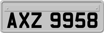 AXZ9958