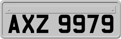 AXZ9979