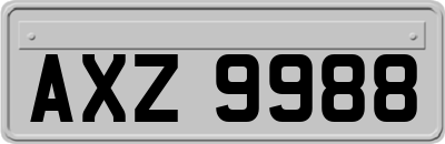 AXZ9988