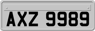 AXZ9989