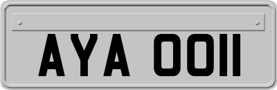AYA0011