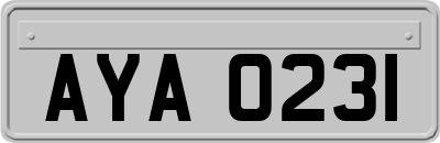 AYA0231