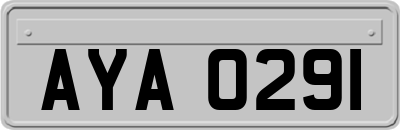 AYA0291