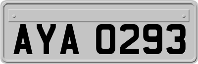 AYA0293