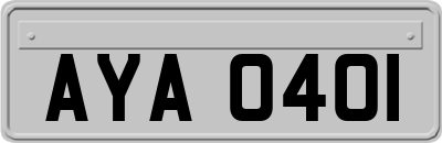 AYA0401