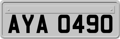AYA0490