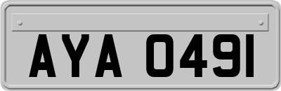 AYA0491