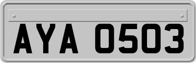 AYA0503