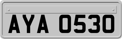AYA0530