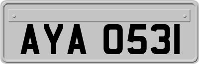 AYA0531