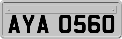 AYA0560