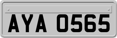 AYA0565