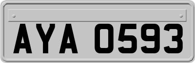 AYA0593