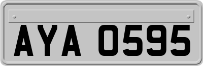 AYA0595