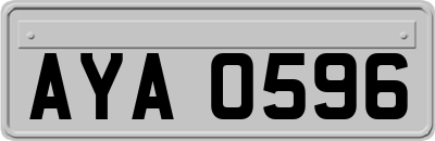 AYA0596