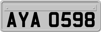 AYA0598