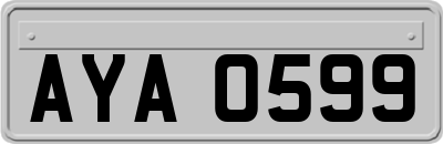 AYA0599
