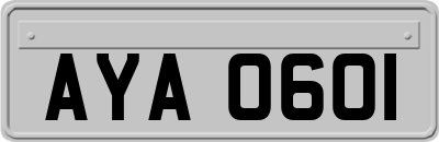 AYA0601