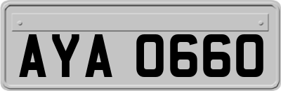 AYA0660