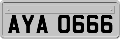 AYA0666