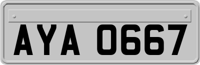 AYA0667