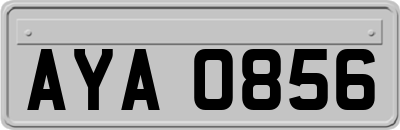 AYA0856