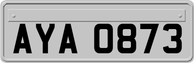 AYA0873