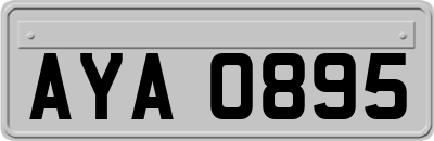 AYA0895