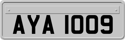AYA1009