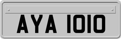 AYA1010