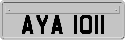 AYA1011