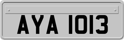 AYA1013