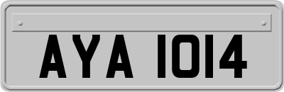 AYA1014