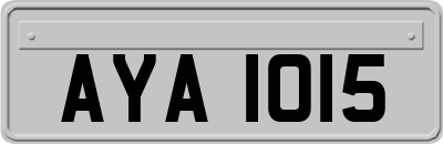 AYA1015