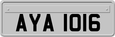 AYA1016