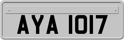 AYA1017