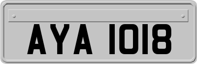 AYA1018