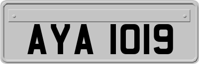 AYA1019