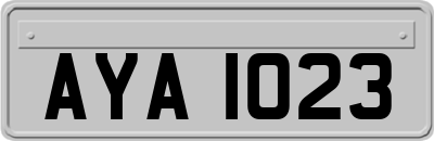 AYA1023