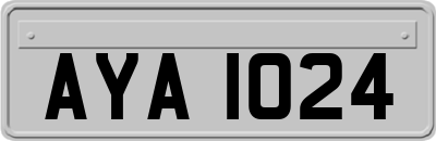 AYA1024