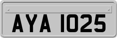 AYA1025