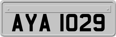 AYA1029