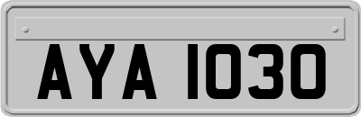 AYA1030