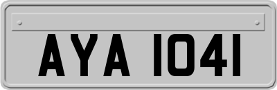 AYA1041