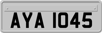 AYA1045