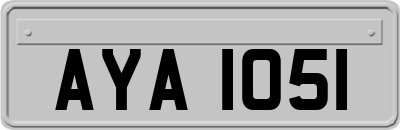 AYA1051