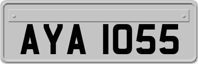 AYA1055