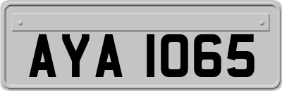 AYA1065