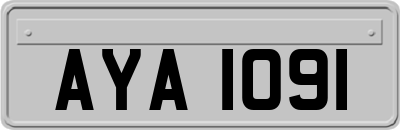 AYA1091