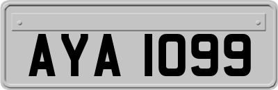 AYA1099